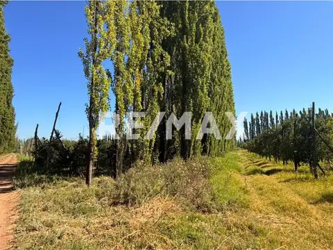 VENTA CHACRA 19 HECT FRENTE RUTA VILLA MANZANO