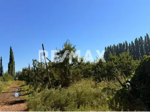 VENTA CHACRA 19 HECT FRENTE RUTA VILLA MANZANO