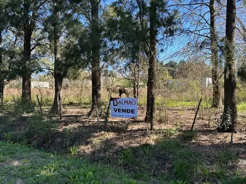 Av Libertador San Martin 100