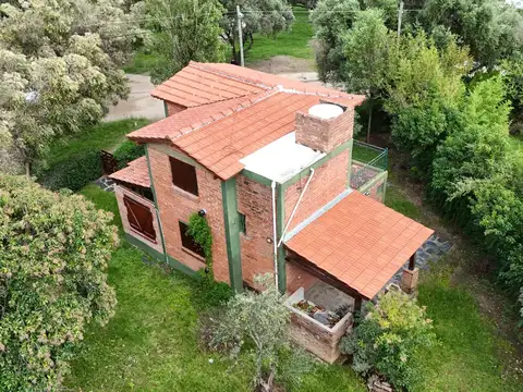 Los Olivos