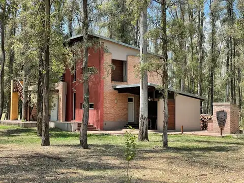 Ruta 11 300