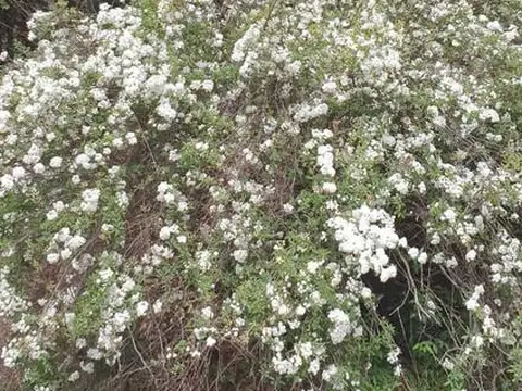 Terreno en Venta de 600,0 m2