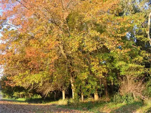 Terrenos en venta - 20 x 30mts - 600mts2 - Barrio Brisas del Sud