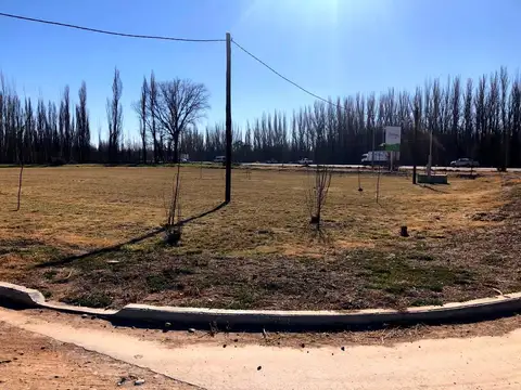 Lote en venta en loteo Don Pater de la ciudad de Centenario  oportunidad 