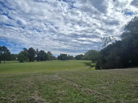 Terreno en Venta 40  mts Fondo