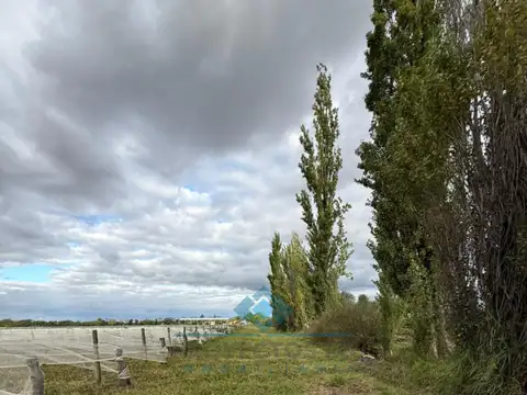 Quinta en Venta en Colonia Caroya, USD 140.000