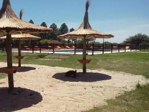 RUTA NACIONAL al 100