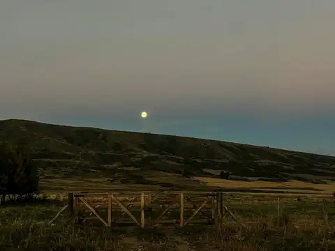 Campo en venta La Carrera