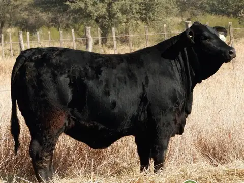 OPORTUNIDAD, a desarrollar buen campo