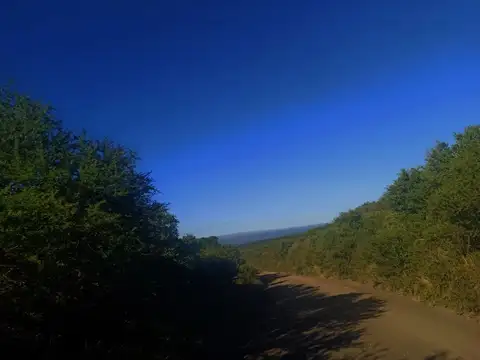 Campo en Venta con Alambrado