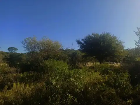 09211 Paso de Pablo 150ha 100