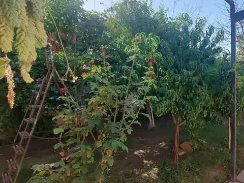 Casa en Venta en Panqueua, USD 77.000