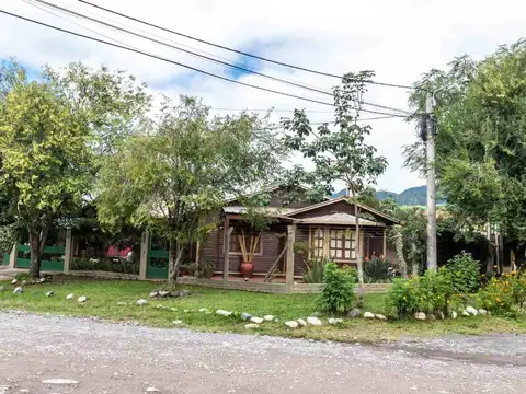 Campo Quijano. Francisco Taibo 100