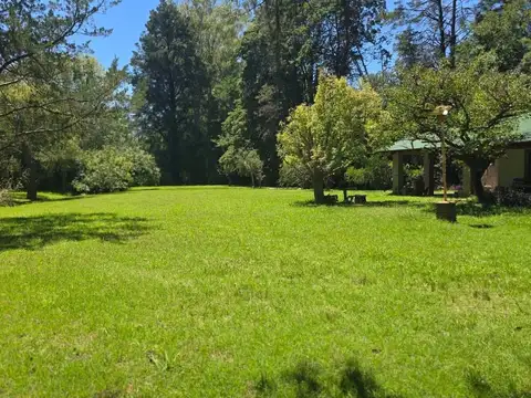 LOS PINOS -RUTA 8 KM 72-BARRAGAN 100