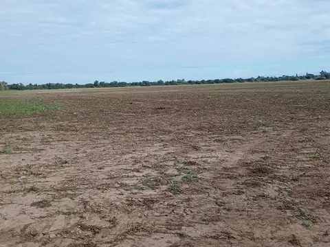OPORTUNIDAD VENTA CAMPO 23 HECTAREAS PARA CULTIVO
