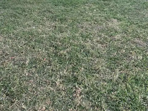 Terreno en Venta en Alejandro Petion, USD 20.000