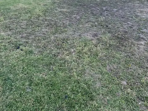 Terreno en Venta 25  mts Fondo