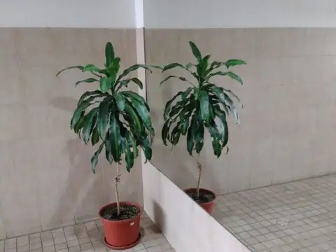 Departamento en Alquiler en Ramos Mejía, $ 330.000