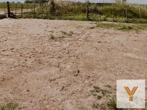 Campo en venta - 173 Hectáreas - Gonzalez Risos