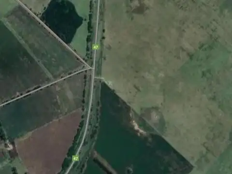 Campo en venta - 173 Hectáreas - Gonzalez Risos