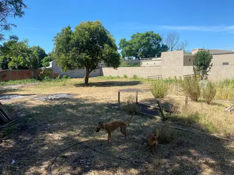 Terreno en Venta 40  mts Fondo