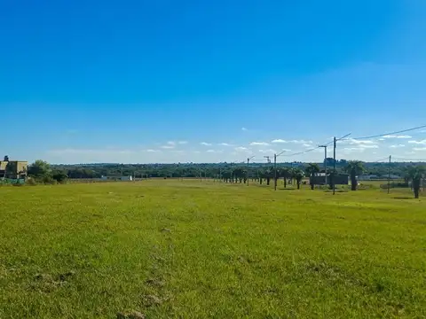 VENTA DE LOTES, COLONIA CAROLINA