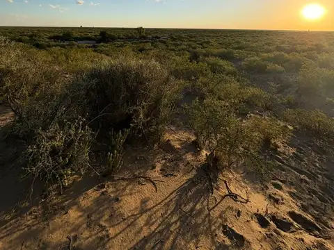 CAMPO GANADERO CON AGUA