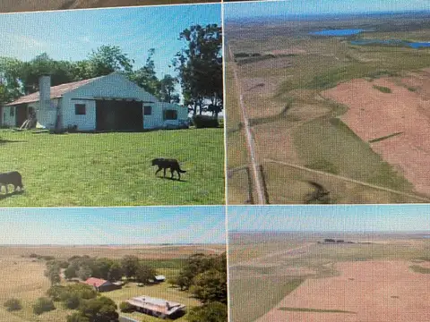 546 HECTAREAS EN GENERAL LAVALLE 12 KM DE MAR DE AJO