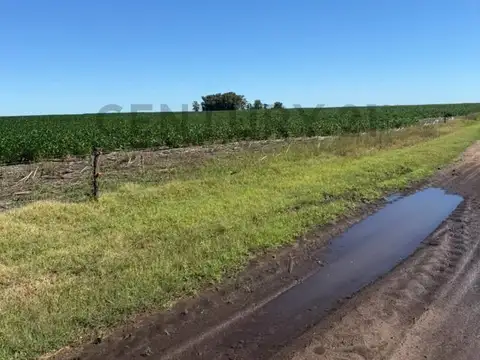Campo en Venta de 0,19  ha