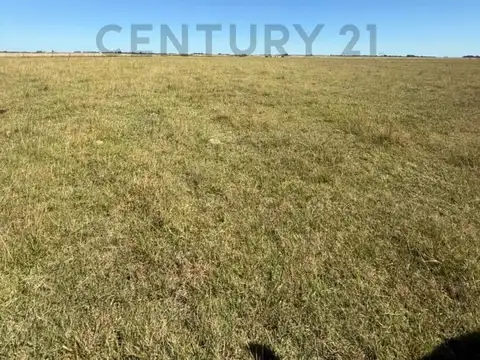 Campo Mixto 1.864 Has en Bragado – Alta Productividad Agrícola y Ganadera