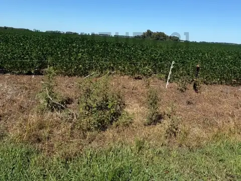 Campo en Venta de 0,19  ha