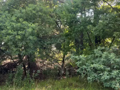 Terreno en Venta en Carilo, USD 107.000