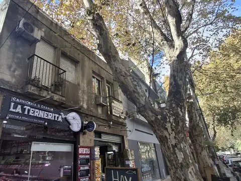 Cuenca 2600, Piso 1