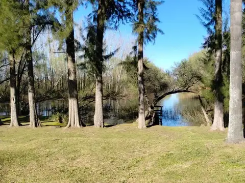 Terreno Lote  en Venta en Cruz Colorada, Zona Delta, Tigre