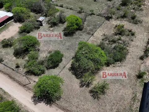 Crucero Gral Belgrano (ex-primavera) 100