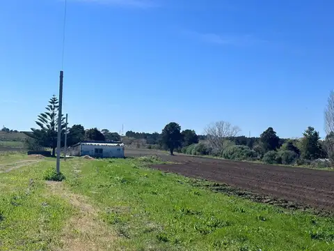 Venta de Chacra de 11 hectáreas Montevideo rural