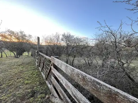 Terreno en Venta de 3351,0 m2