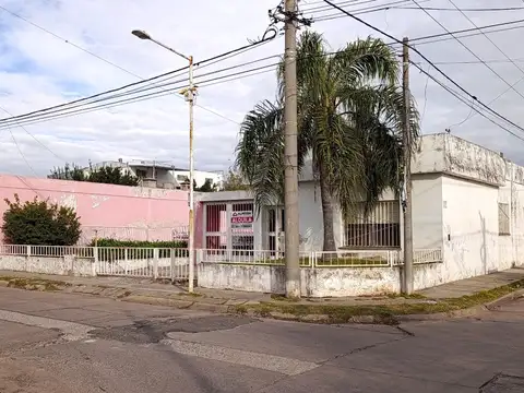 Teniente Agneta 100