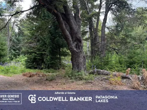 Boulevard Quetrihue al 1400