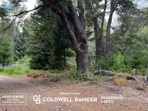 Terreno en Venta en Puerto, USD 180.000