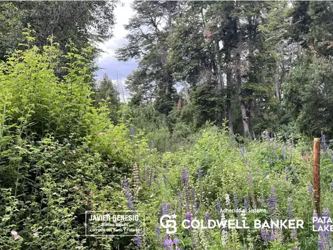 VENTA Lote | Terreno 3000m2 UF 6 Villa La Angostura Acceso al lago