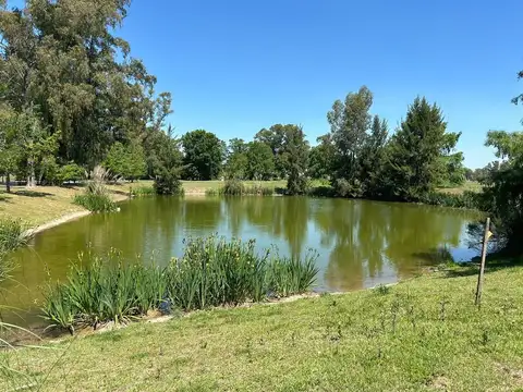 VENTA LOTE 1293MTS CAÑUELAS METEJON CAMPO PRIVADO