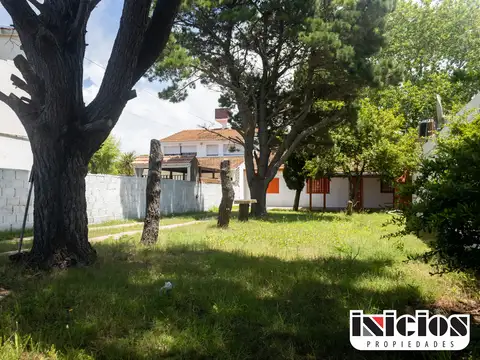 Casa con parque de pinos - C417