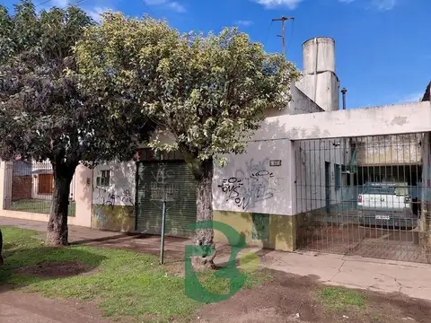 Manuel Carles 100