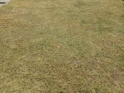 Casa en Alquiler con 2 cocheras