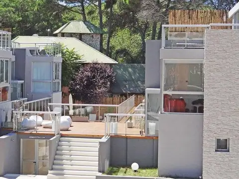 castaño y benteveo 200