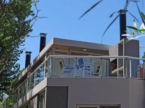 castaño y benteveo 200