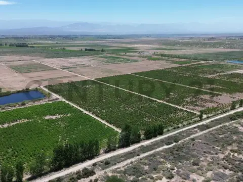 Campo en Venta de 0,03  ha