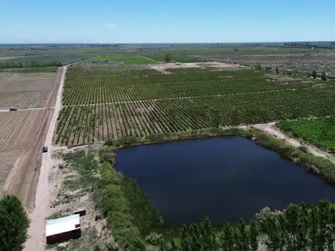 Finca 3 de Mayo Lavalle Mendoza