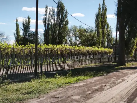 FINCA EN SANTA ROSA EXCELENTE ESTADO